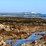 Ragged shoreline