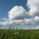 Somerset countryside