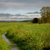 Somerset countryside