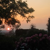Somerset countryside