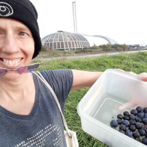 Picking sloes in Newhaven